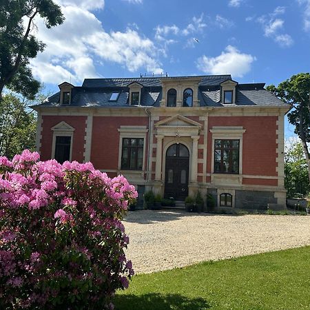 * Stadtvilla Plauen * * Aussergewoehnlich * 2 Zimmerwohnung * Zentrumsnah Zewnętrze zdjęcie